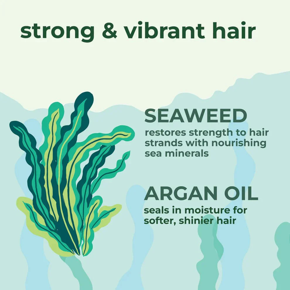 Seaweed & Argan Oil (355ml)